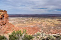 View of "Valley of the Gods"