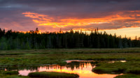Sunset over the marsh, Acadia NP, Maine