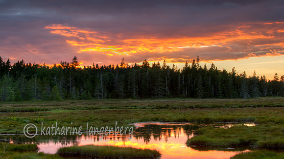 Sunset over the marsh, Acadia NP, Maine