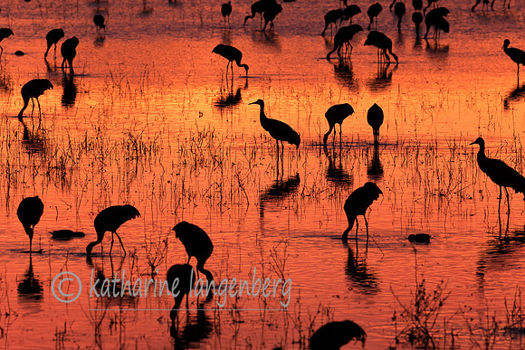 Sunrise fire and silhouettes