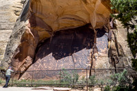 Newspaper Rock. Pictographs