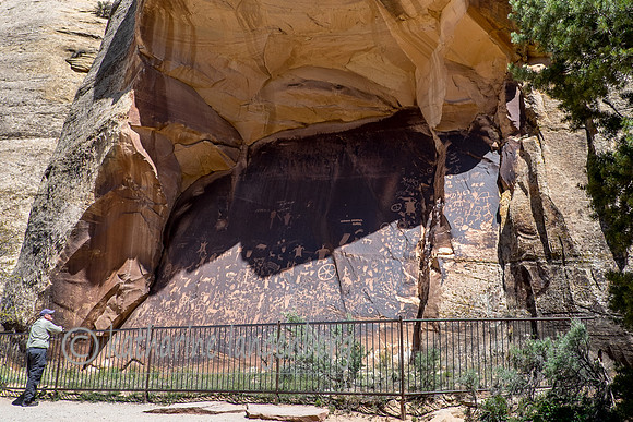 Newspaper Rock. Pictographs