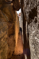 Trail through the Needles of Canyonland NP