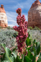 Canyonland National Park, Utah