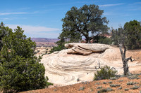 The Needles, Canyonland National Park