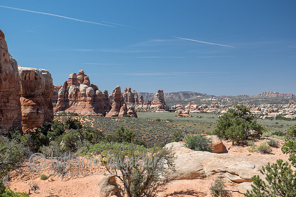 View of "Chesler Park" Canyonland NP