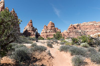 Trail to Elephant Hill and Chesler Loop
