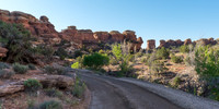 Road to the Needles