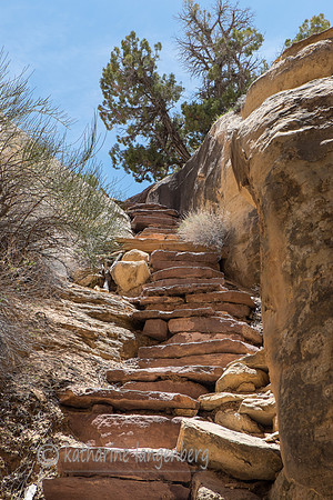 The Needles, Canyonland National Park