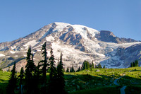 Mount Rainier National Park, Washington