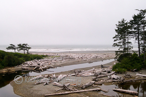 Mount Olympic National Park, Oregon