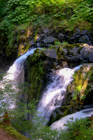 Mount Olympic National Park, Oregon
