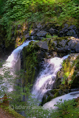 Mount Olympic National Park, Oregon