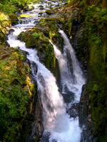 Mount Olympic National Park, Oregon
