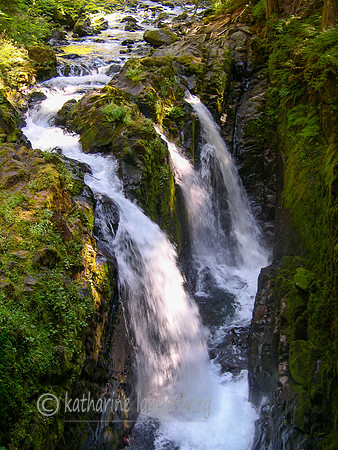 Mount Olympic National Park, Oregon