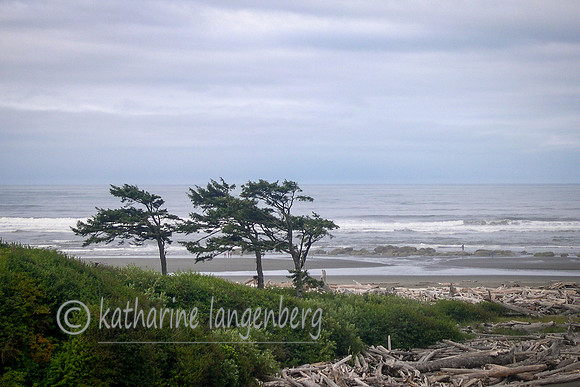 Mount Olympic National Park, Oregon