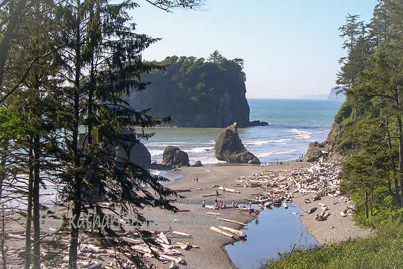 Mount Olympic National Park, Oregon