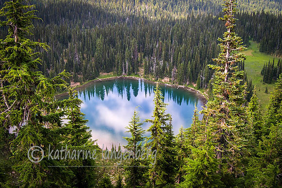 Mount Rainier National Park, Washington