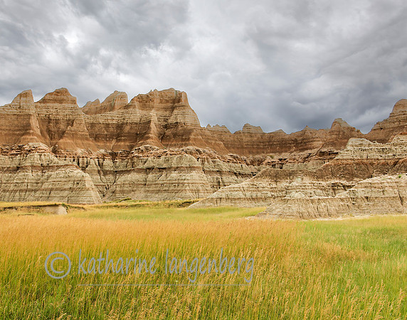 August harvest, Badlands National Park, South Dakota