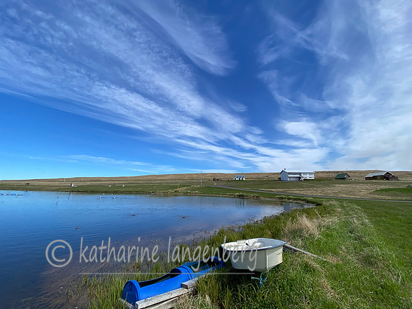 fresh water pond on Grimsey