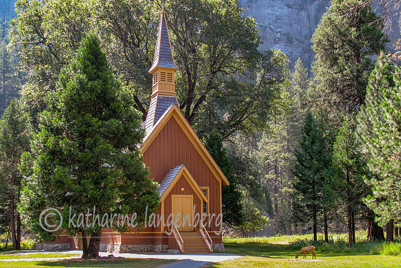 Yosemite Valley Cathedral