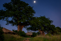 Tarangire Full Moon at the Nyumba