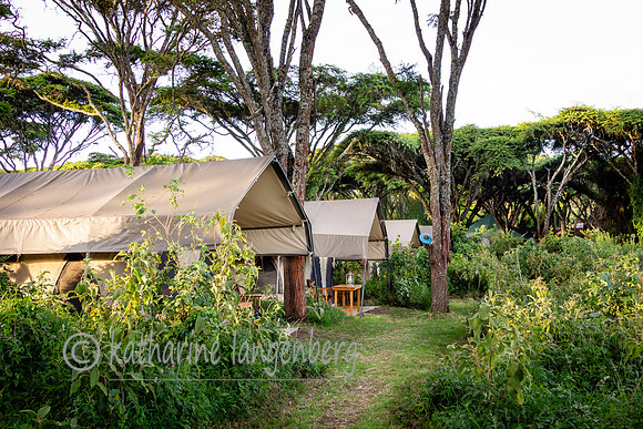 Ngorongoro Crater Nyumba