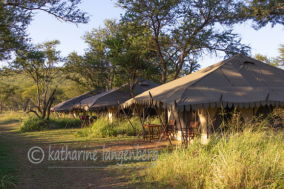 Central Serengeti Nyumba