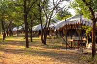 Serengeti Nymba