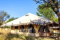 Wilderness Nymba