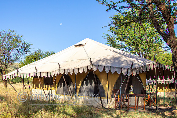 Wilderness Nymba