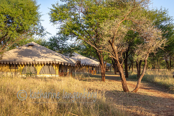 Central Serengeti Nyumba