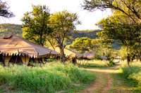 Southern Serengeti Nymba