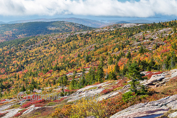 Cadillac Mountain fall view