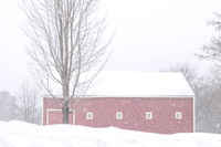Blizzard at Wayside Inn Barn, Sudbury, MA