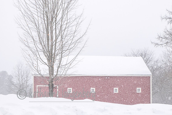 Blizzard at Wayside Inn Barn, Sudbury, MA