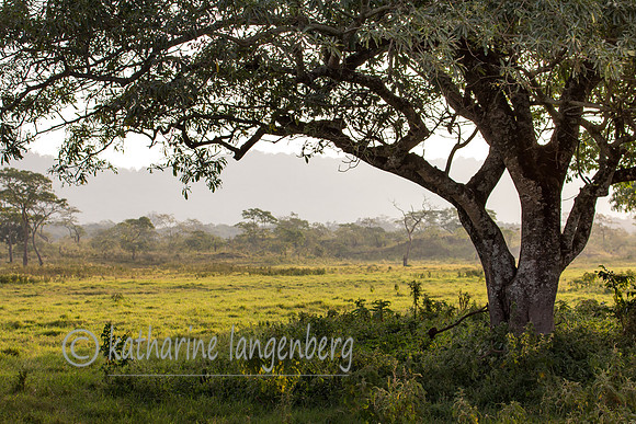 Arusha National Park