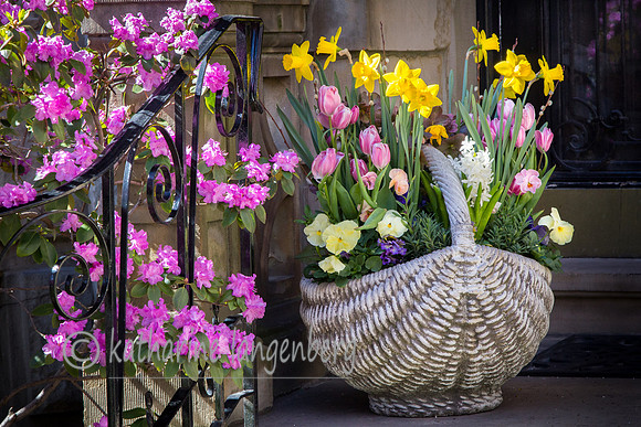Spring blooms