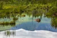 Baxter reflections, Maine