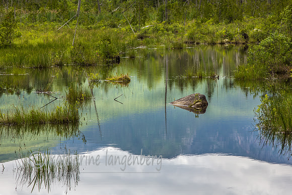 Baxter reflections, Maine