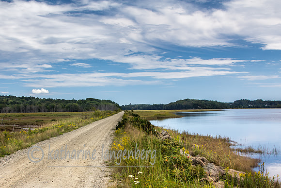 Machias River and the Downeast Sunrise Trail, Maine