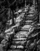 Stone Steps to Thuya Gardens, Maine