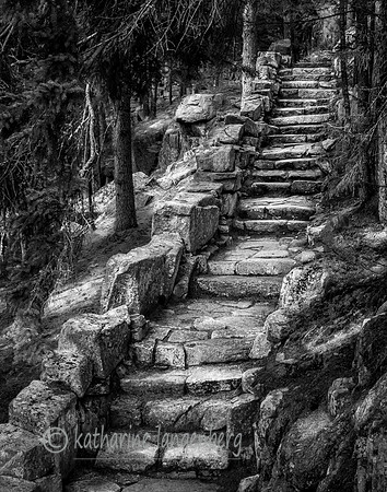 Stone Steps to Thuya Gardens, Maine