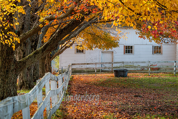 Fall farm