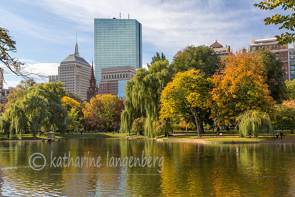 Autumn at the Public Garden
