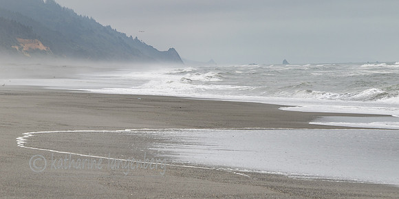 Gold Bluff Beach - Prairie Creek Redwood State Park