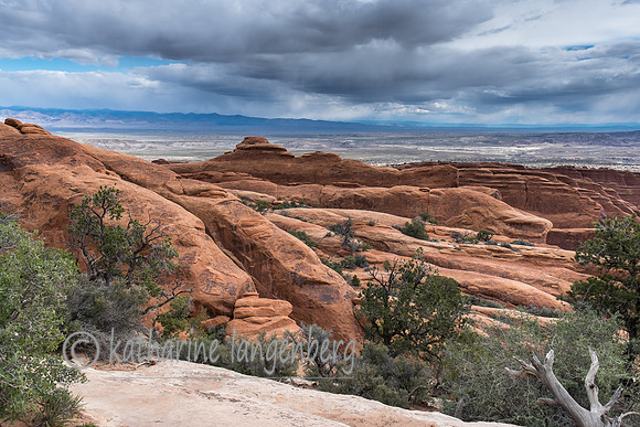 Petrified Dunes