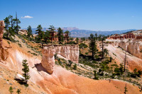 Faces of Bryce