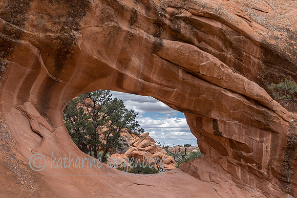 Partition Arch
