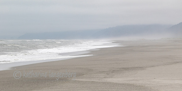 Gold Bluff Beach Redwood National Park